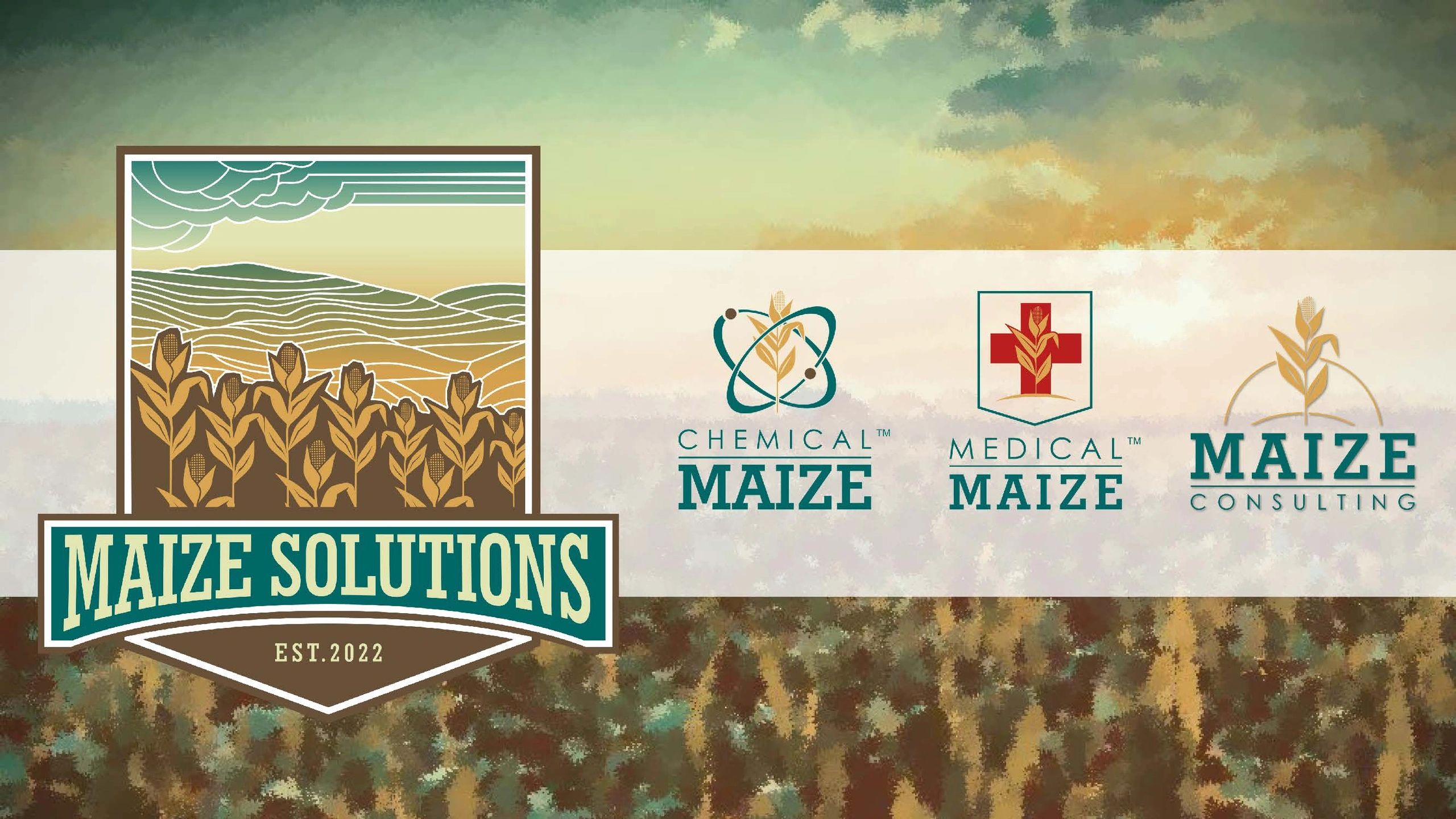 Medical Maize / Maize Consulting